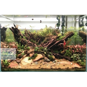 Đèn RGB Nala C400 thế hệ mới