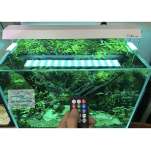 Đèn RGB Nala C400 thế hệ mới