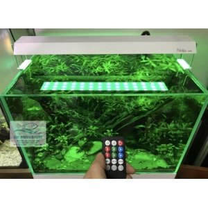 Đèn RGB Nala C400 thế hệ mới