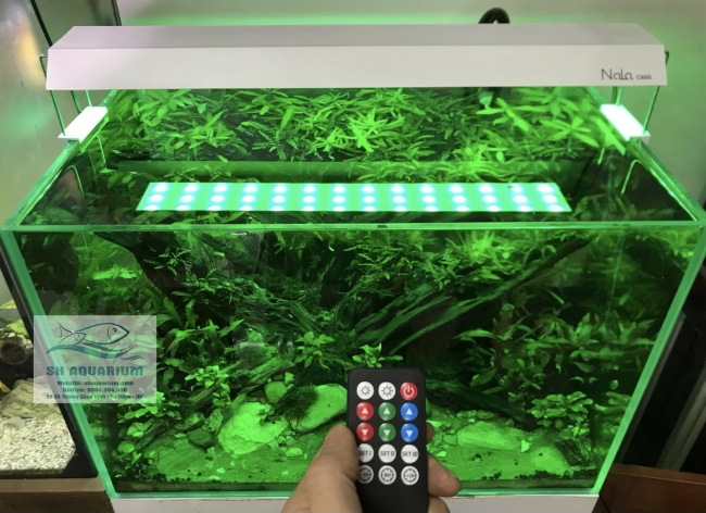 Đèn RGB Nala C900 thế hệ mới