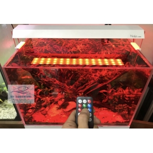 Đèn RGB Nala C400 thế hệ mới