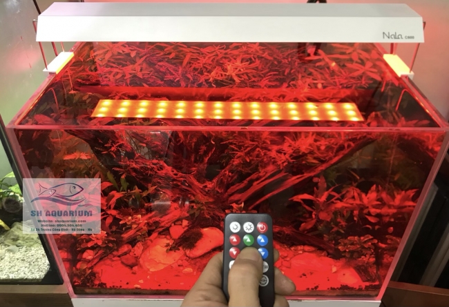 Đèn RGB Nala C900 thế hệ mới