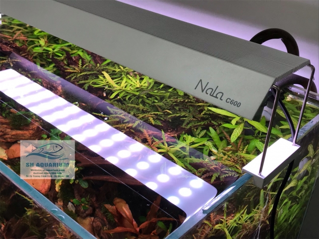 Đèn RGB Nala C900 thế hệ mới