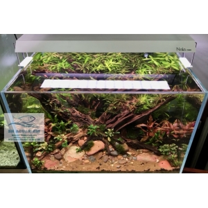 Đèn RGB Nala C400 thế hệ mới