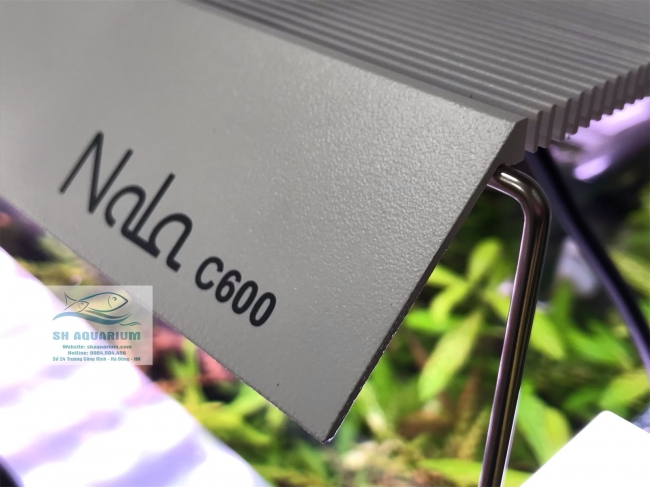 Đèn RGB Nala C900 thế hệ mới