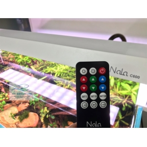 Đèn RGB Nala C400 thế hệ mới