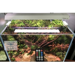 Đèn RGB Nala C400 thế hệ mới