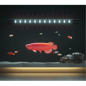 Đèn ống Solar 5D led thế hệ mới  RGB 3in1/2,5W dành cho cá rồng và các loại cá cảnh