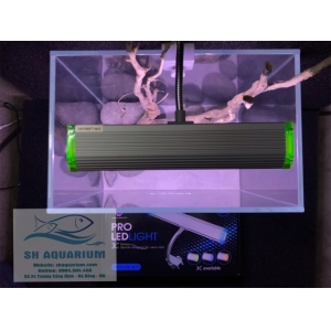 ĐÈN LED KẸP UP AQUA N17