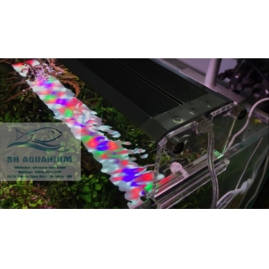 ĐÈN LED WEEK RAPTOR RGB D90CM