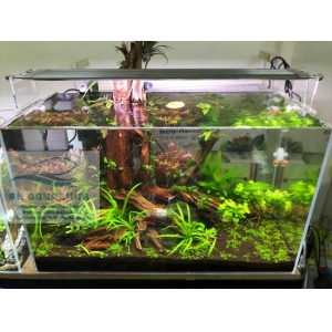 ĐÈN LED WEEK RAPTOR RGB D90CM