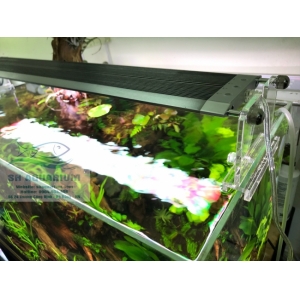 ĐÈN LED WEEK RAPTOR RGB D45CM