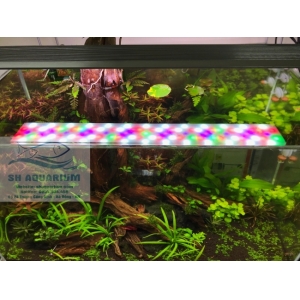 ĐÈN LED WEEK RAPTOR RGB D90CM