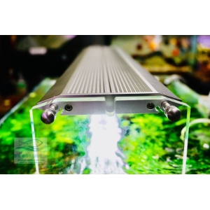 ĐÈN WEEK AQUA M600 PRO