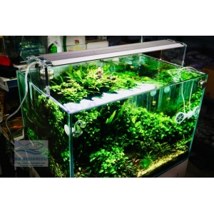ĐÈN WEEK AQUA M900 PRO