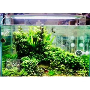 ĐÈN WEEK AQUA M900 PRO