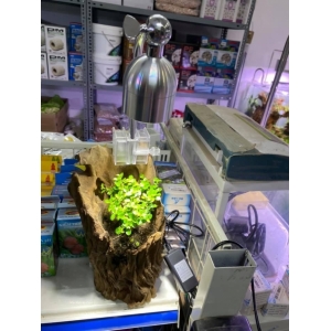 ĐÈN XINMA 7W 3 CHẾ ĐỘ