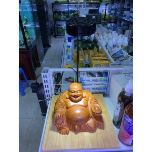 Đèn Đế Gỗ 7W
