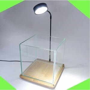 Đèn Đế Gỗ 7W