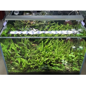 ĐÈN CHIHIROS B-SERIA B120