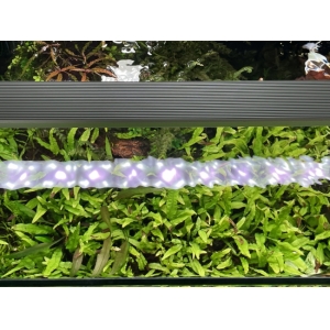 ĐÈN CHIHIROS B-SERIA B120