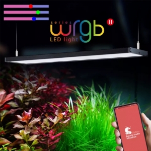Đèn Chihiros WRGB II 10th Anniversary 45cm – Phiên bản kỷ niệm 10 năm đẳng cấp cho hồ thủy sinh