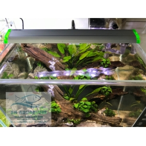 Đèn led kẹp Up Aqua N25