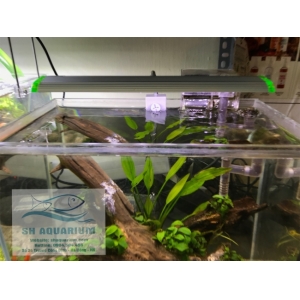 Đèn led kẹp Up Aqua N25