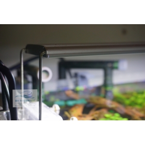 Đèn Led Odyssea A1 Pro Plant 600