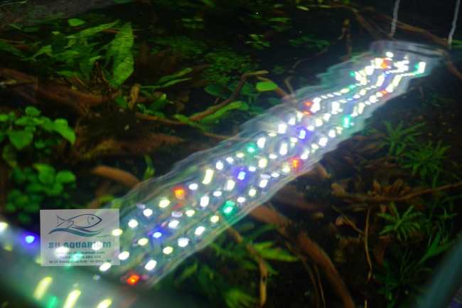 Đèn Led Odyssea A1 Pro Plant 500