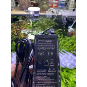 MÁY BƠM DC 24V MARINE 6000 (50W)