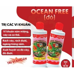 Ocean Free Gill Fungus Parasite's Special Medicine (Chữa ký sinh trùng)