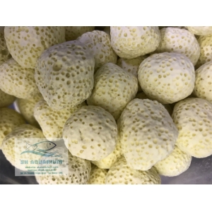 Sứ viên tròn vàng