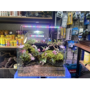 Đèn Led Coco WRGB R500