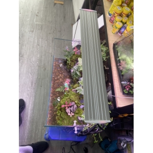 ĐÈN LED COCO WRGB R800