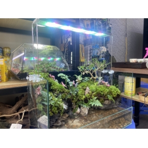 ĐÈN LED COCO WRGB R1500