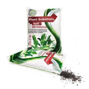 Phân nền Ever Green (Bao 5kg)