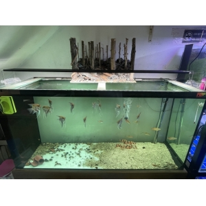 Đèn máng nhôm Kaokui RGB 3in1 M1200