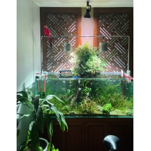 Phân nền Tropica Soil 9lit