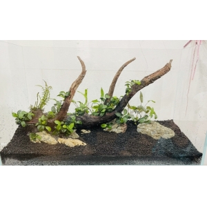 Phân nền Tropica Soil 9lit