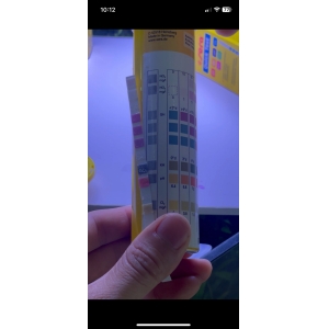 Test chỉ tiêu nước Sera 6 in 1 cho bể cá cảnh