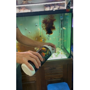 Nước đen Ista chai 500ml