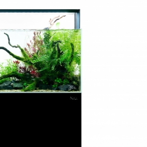 Đèn Nala dòng ES RGB – Bứt phá ánh sáng cho hồ cá cảnh, thuỷ sinh hiện đại