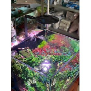 Đèn ELLY UFO – Giải Pháp Chiếu Sáng Cao Cấp Cho Hồ Cá Biotop, Hồ thuỷ sinh, Hồ cá cảnh