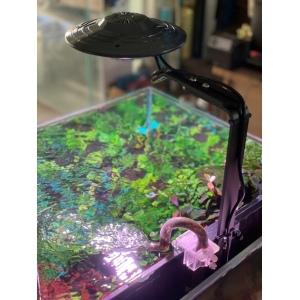Đèn ELLY UFO – Giải Pháp Chiếu Sáng Cao Cấp Cho Hồ Cá Biotop, Hồ thuỷ sinh, Hồ cá cảnh