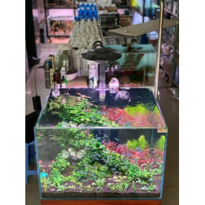 Đèn ELLY UFO – Giải Pháp Chiếu Sáng Cao Cấp Cho Hồ Cá Biotop, Hồ thuỷ sinh, Hồ cá cảnh