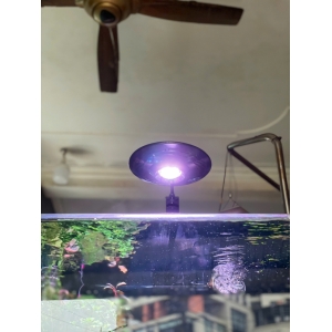 Đèn ELLY UFO – Giải Pháp Chiếu Sáng Cao Cấp Cho Hồ Cá Biotop, Hồ thuỷ sinh, Hồ cá cảnh