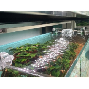 Đèn LED Coco UR900 -RGB 3 in 1 Life Spectrum – Giải Pháp Chiếu Sáng Cho Bể Cá & Thủy Sinh