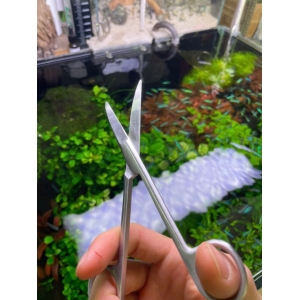 Kéo tỉa cây thuỷ sinh chất liệu inox không gỉ, mũi cong dễ thao tác 16cm