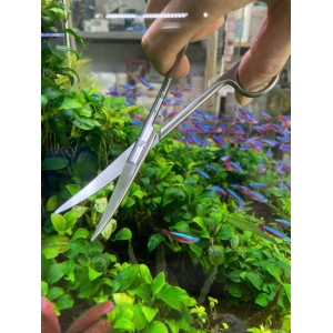 Kéo tỉa cây thuỷ sinh chất liệu inox không gỉ, mũi cong dễ thao tác 16cm